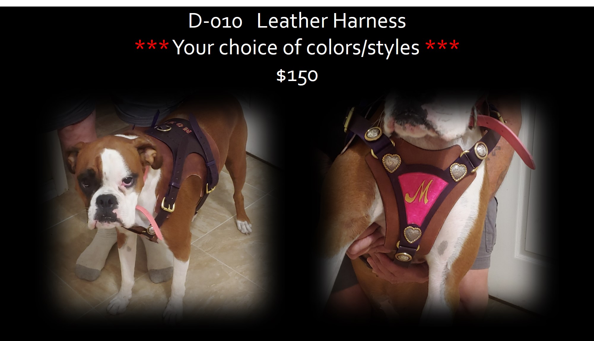 Leather Harness