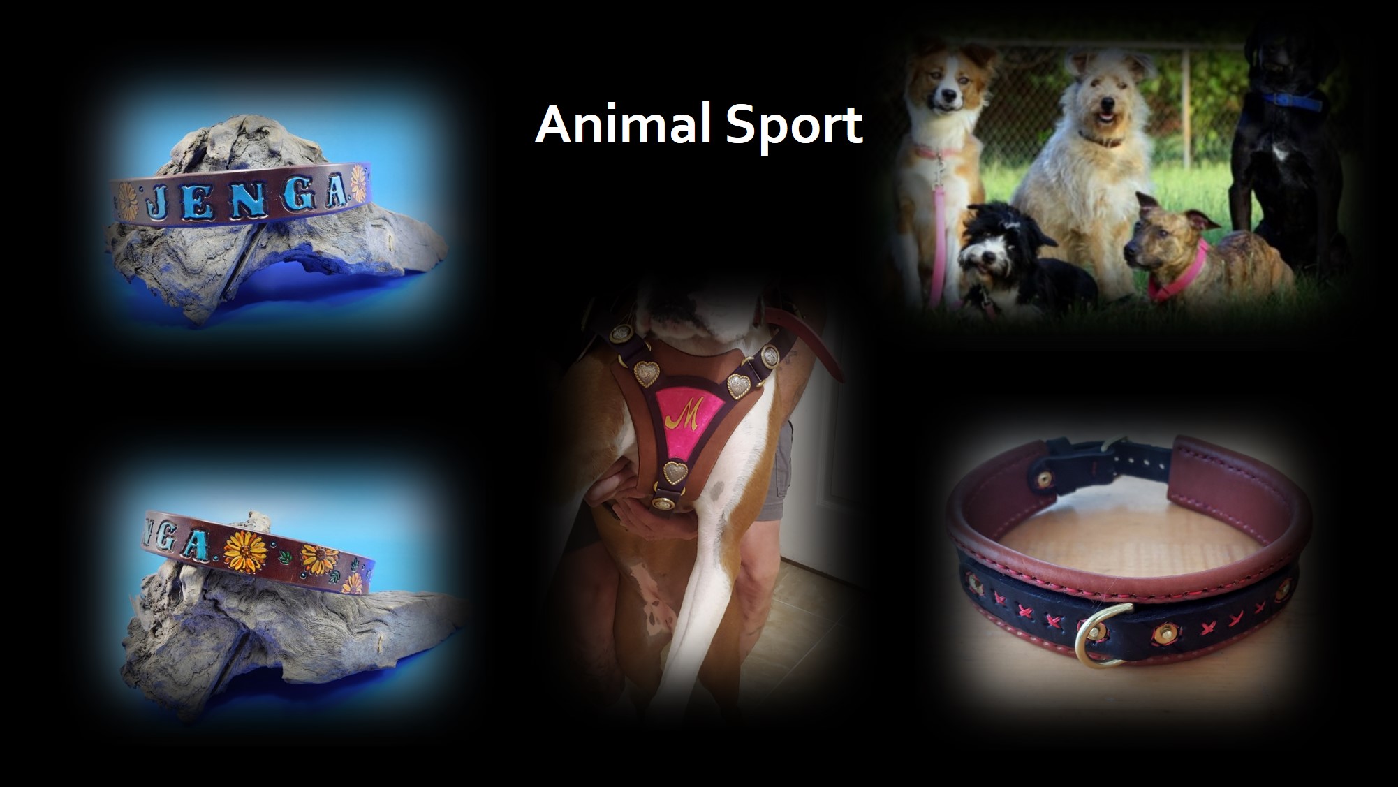 Browse Animal/Sport